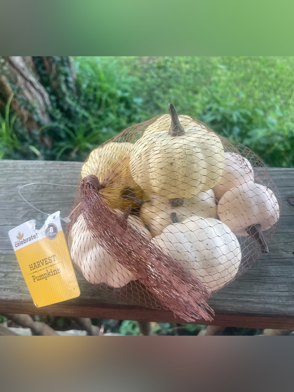 Celebrate It Harvest Pumpkins - White and Pale Yellow